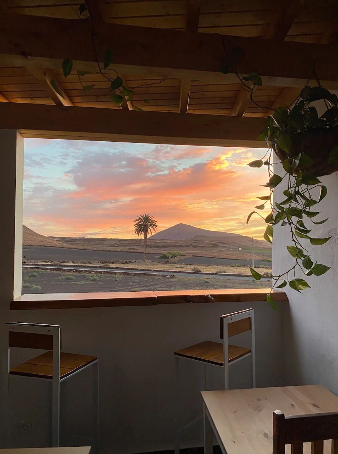 Photo - Finca Marisa