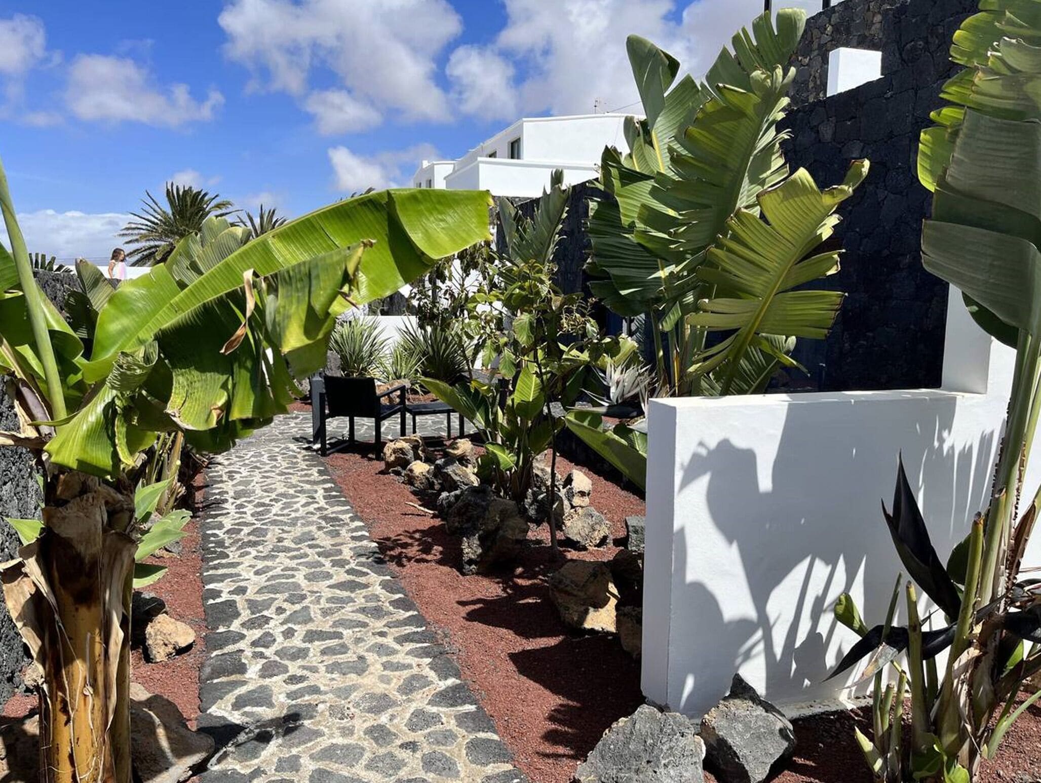 A paved pathway leading to a seating area with a white wall and tropical plants.