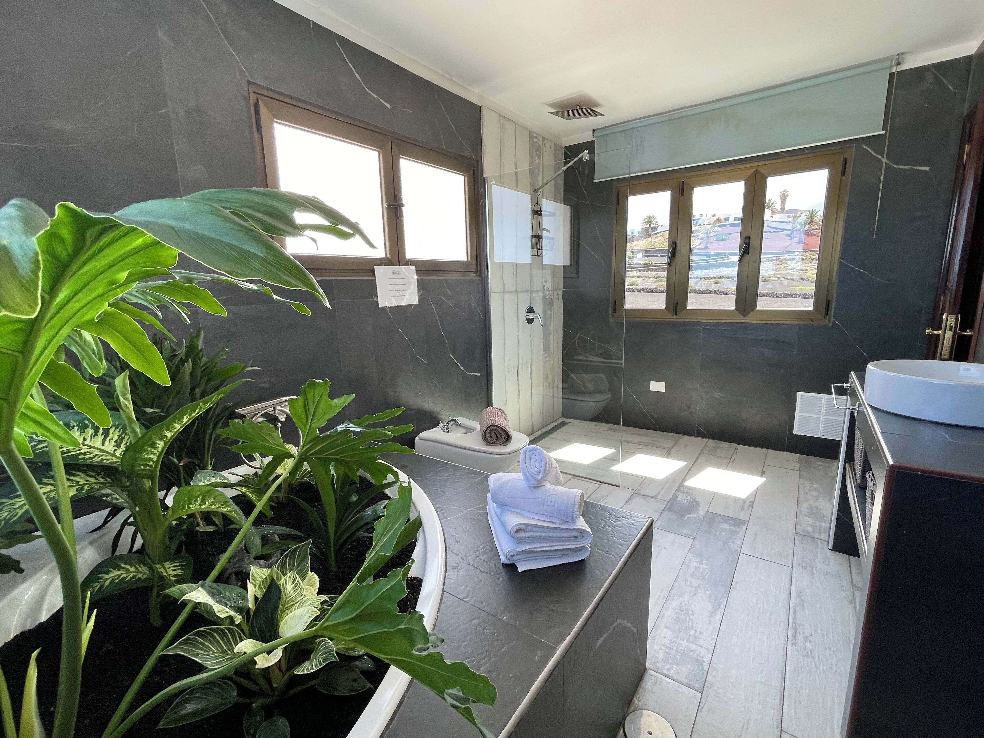 Photo - Finca Marisa