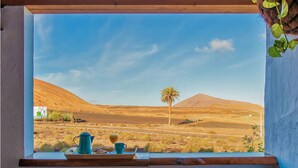 Vista desde la ventana de un paisaje desértico con una palmera, una montaña y cielo despejado.