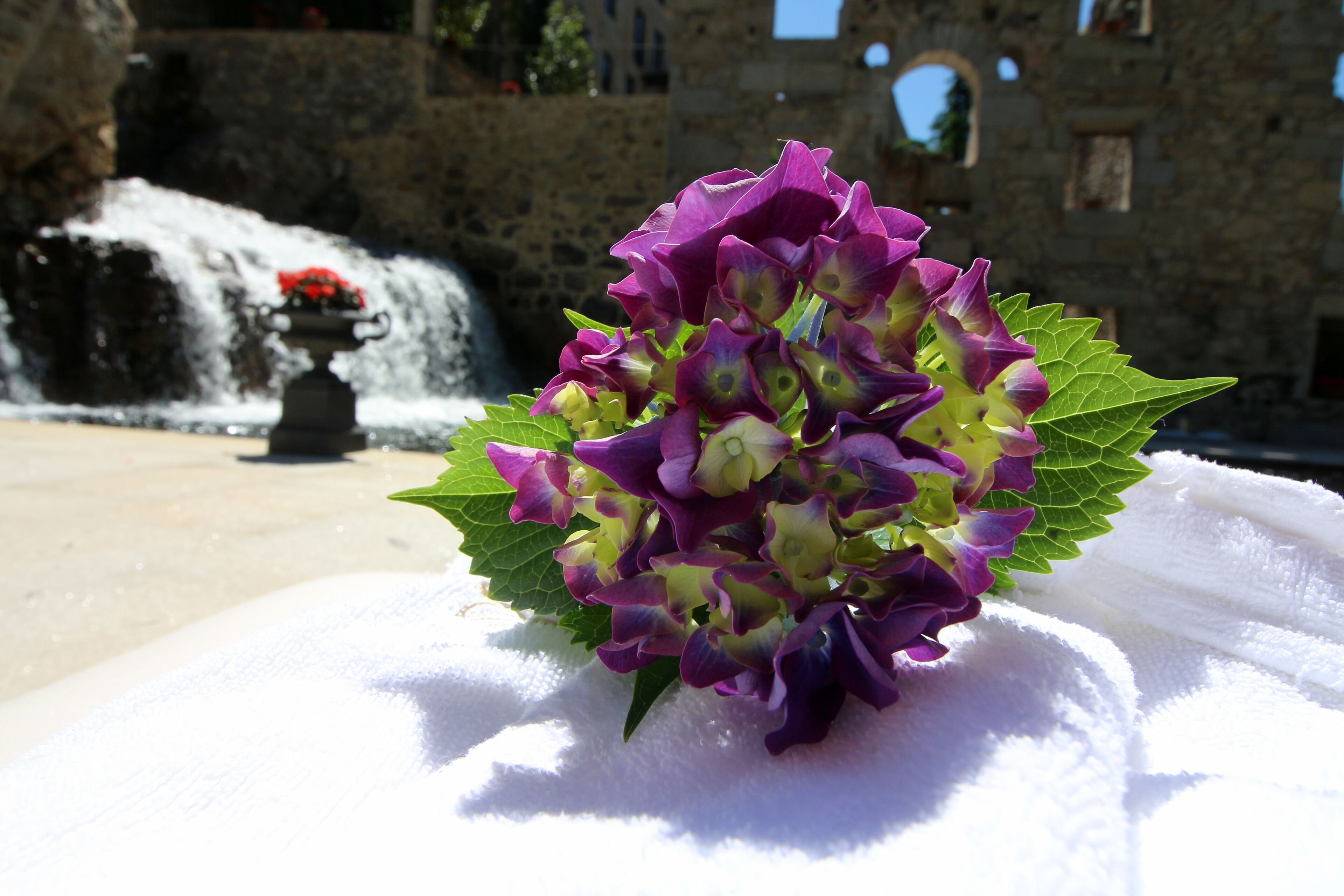 Photo - Torre do Rio