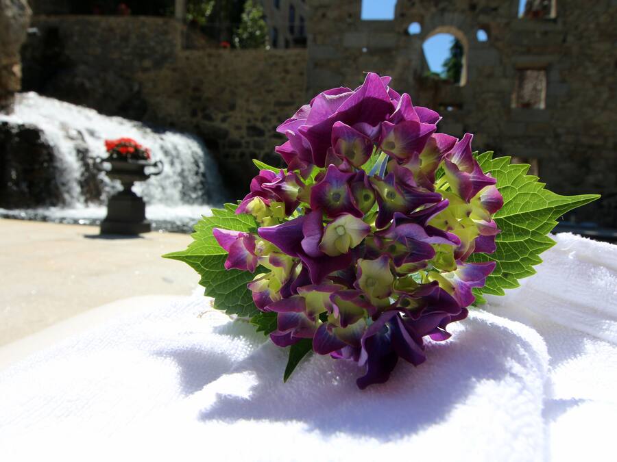 Un ramo de flores moradas sobre una superficie blanca, con un edificio de piedra al fondo.