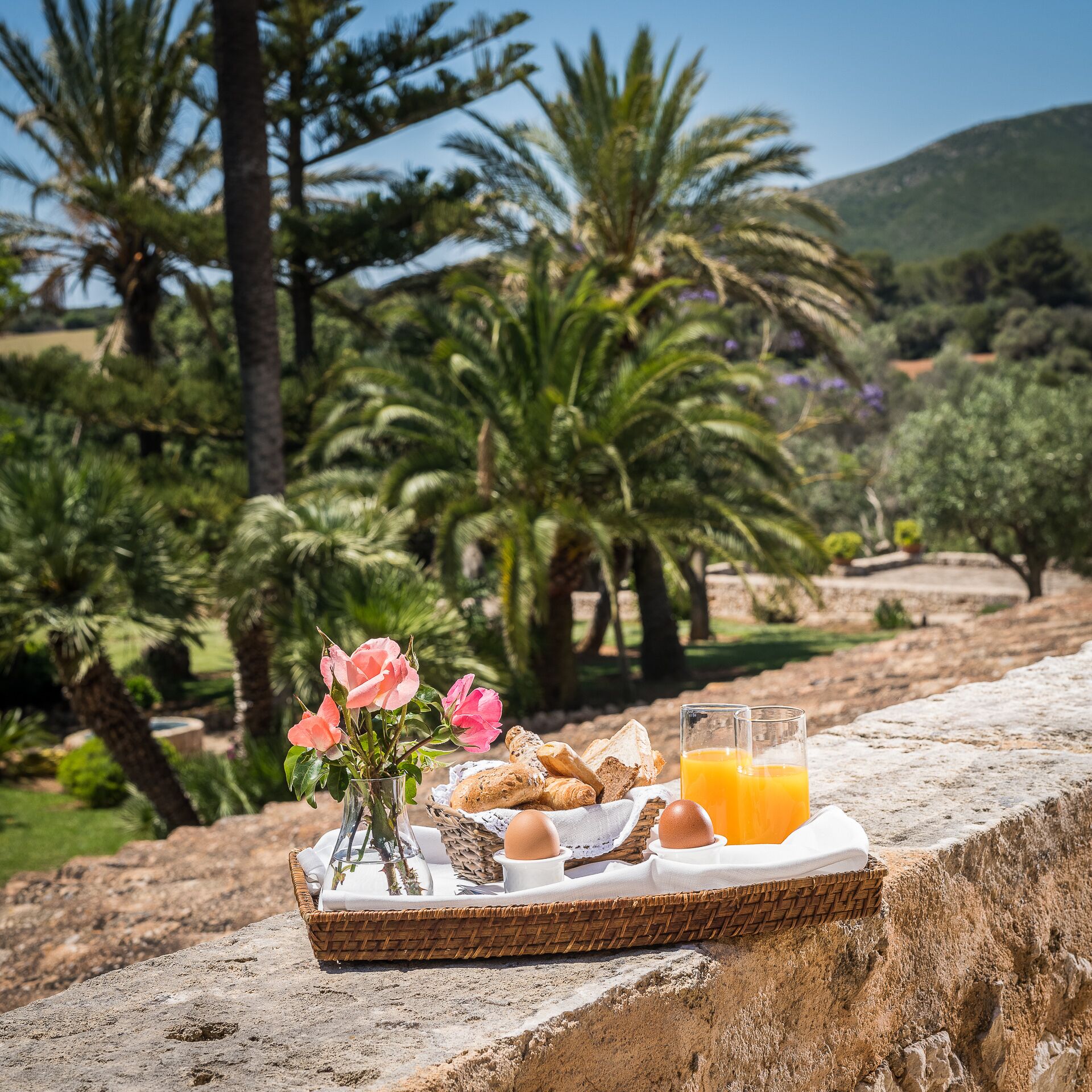 Junior suite | Terras