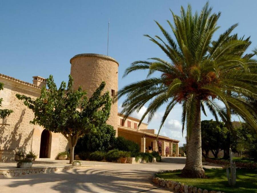 Un bâtiment doté d’une tour cylindrique, de palmiers et d’une cour dallée.