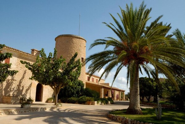 A building with a cylindrical tower, palm trees, and a paved courtyard.