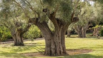 Overnattingsstedets uteområder