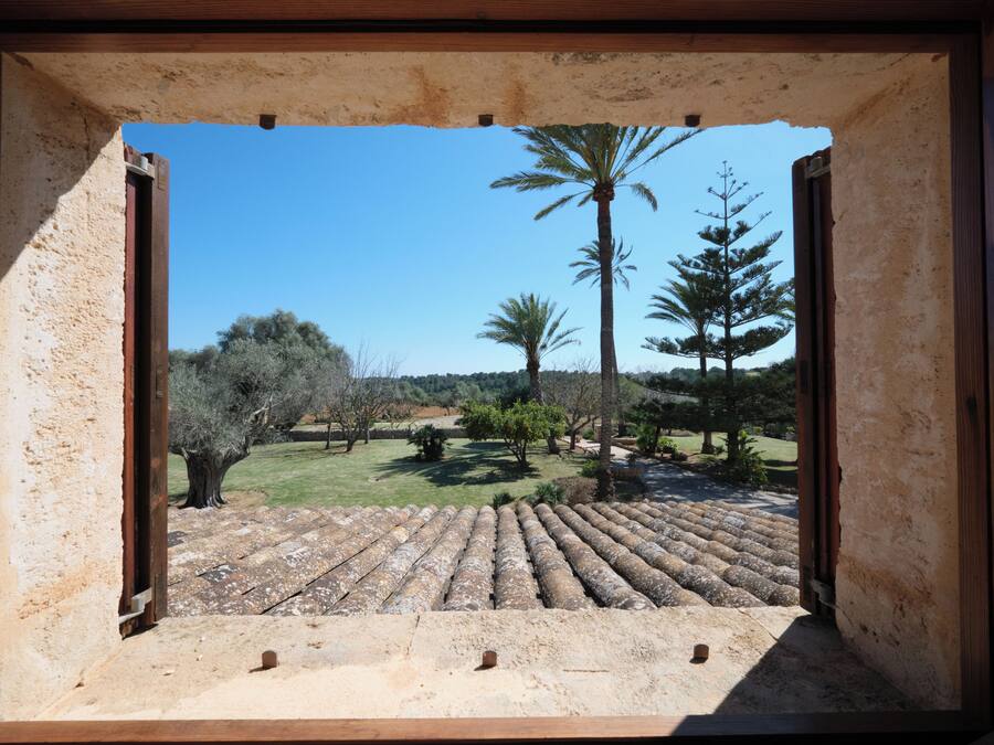 An open doorway with a view of a courtyard featuring a palm tree, a pine tree, and a stone-tiled floor.