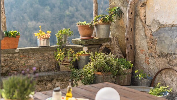 A rustic outdoor seating area with a stone wall and various potted plants. - Corte Paganini (Ricco del Golfo di Spezia)