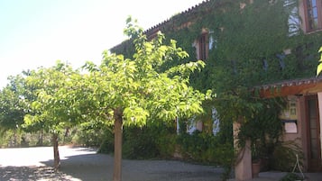 A building with a courtyard, surrounded by trees and covered with ivy.