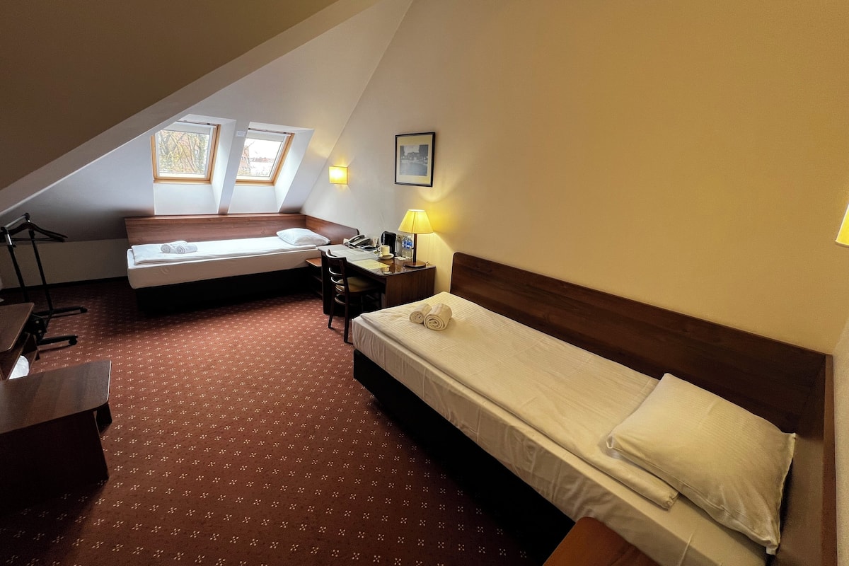 Attic Twin Room | Hypoallergeen beddengoed, een kluis op de kamer, een bureau