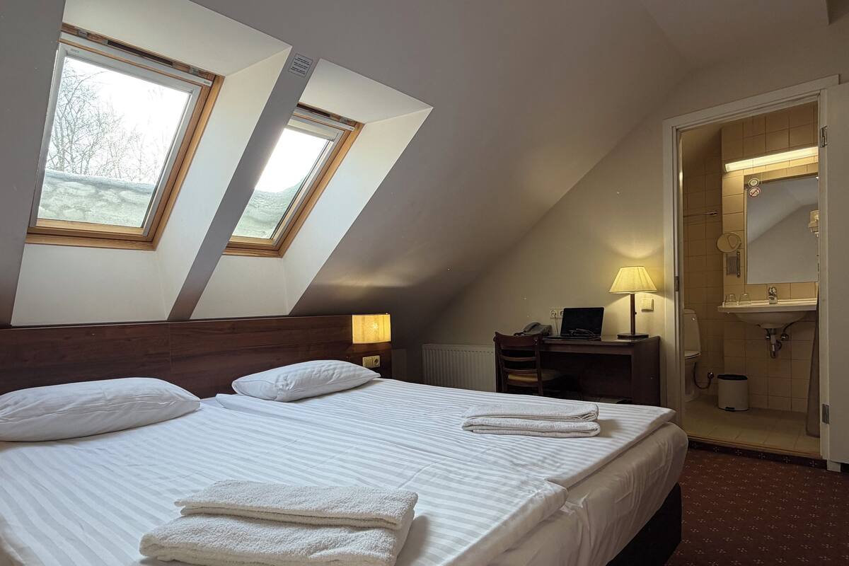 Attic Double Room | Bộ đồ giường kháng dị ứng, két bảo mật tại phòng, bàn, màn/rèm cản sáng 
