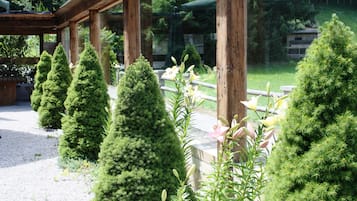 Tuin