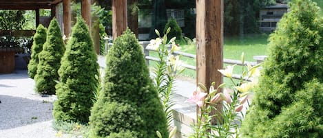 A wooden pergola structure with a gravel path and neatly trimmed evergreen shrubs.