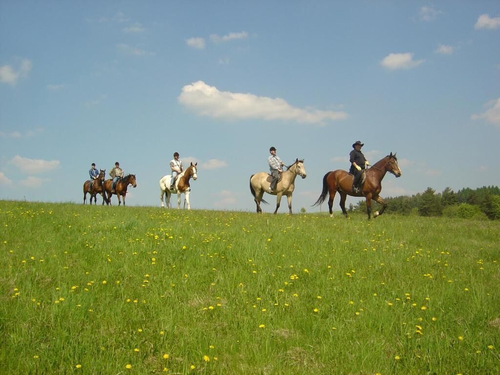 A group of people riding horses on a grassy field with a clear sky.