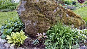 Un jardín con una roca grande cubierta de musgo, diversas plantas y un sendero de grava.