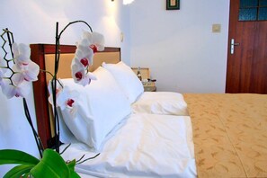 Iron/ironing board, free WiFi - Dwor Wapowce (Przemysl)