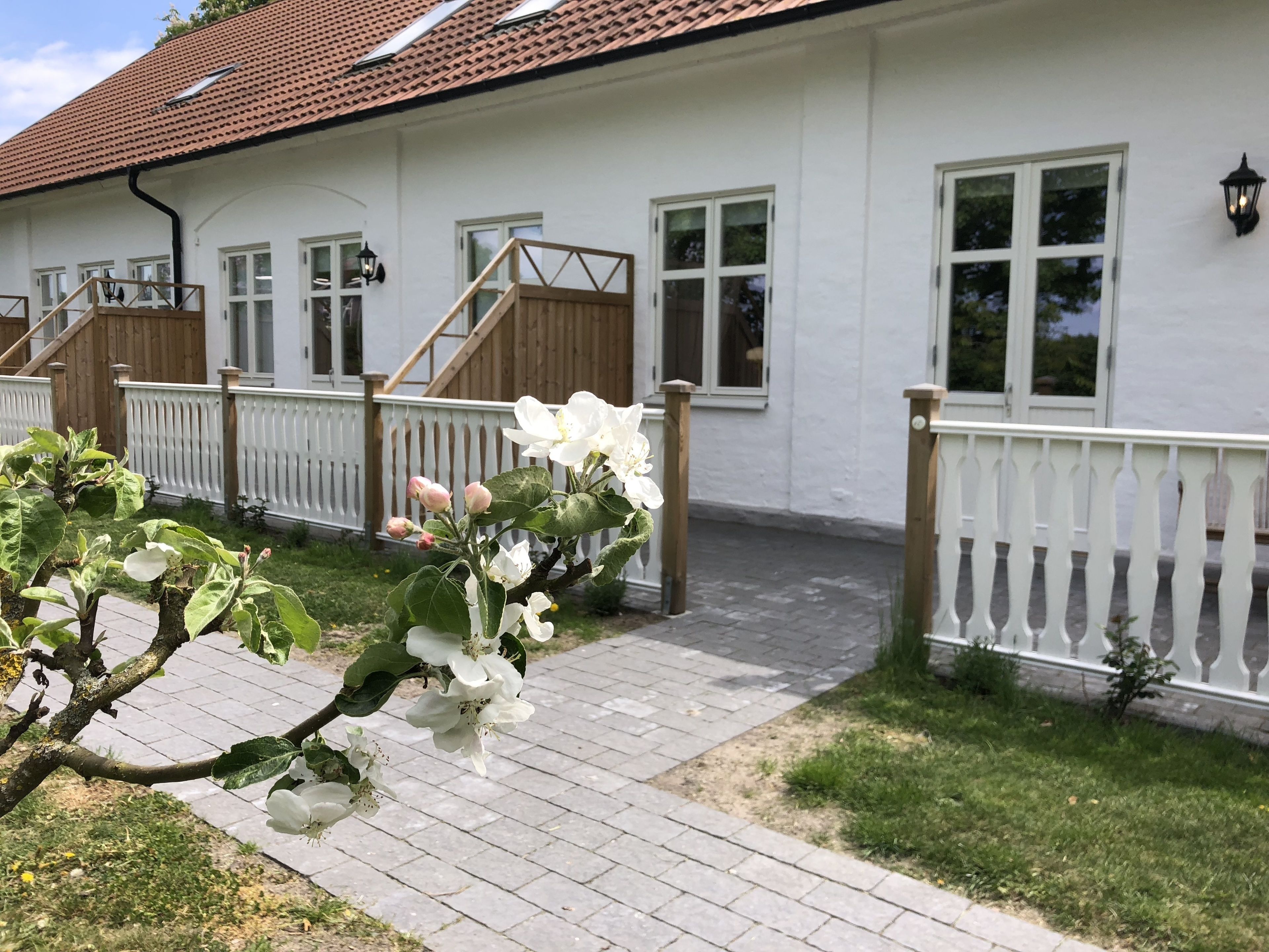 suite | terrace/patio