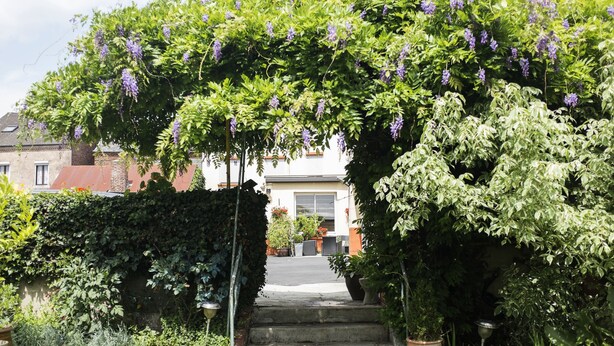 Ein Garteneingang mit einer Steintreppe, die zu einem überdachten Bereich mit violetten Blumen führt.