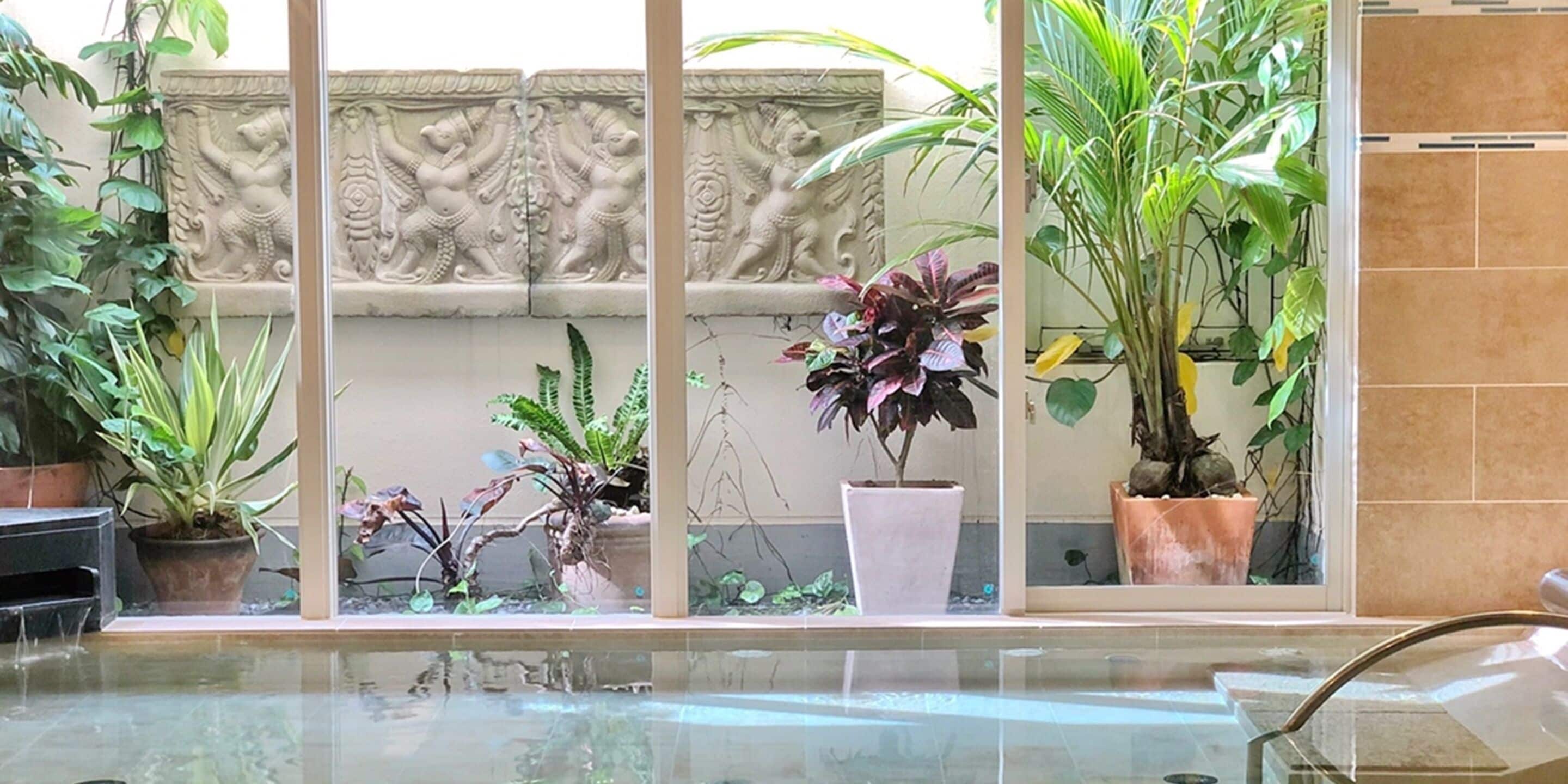 A pool area with potted plants and a decorative wall.
