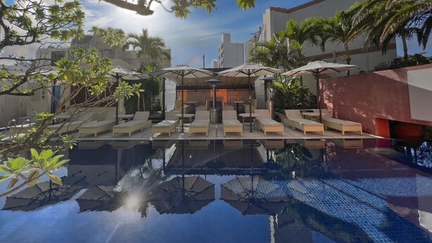 Zona de piscina en la azotea con sillas de descanso y sombrillas, rodeada de palmeras y edificios.