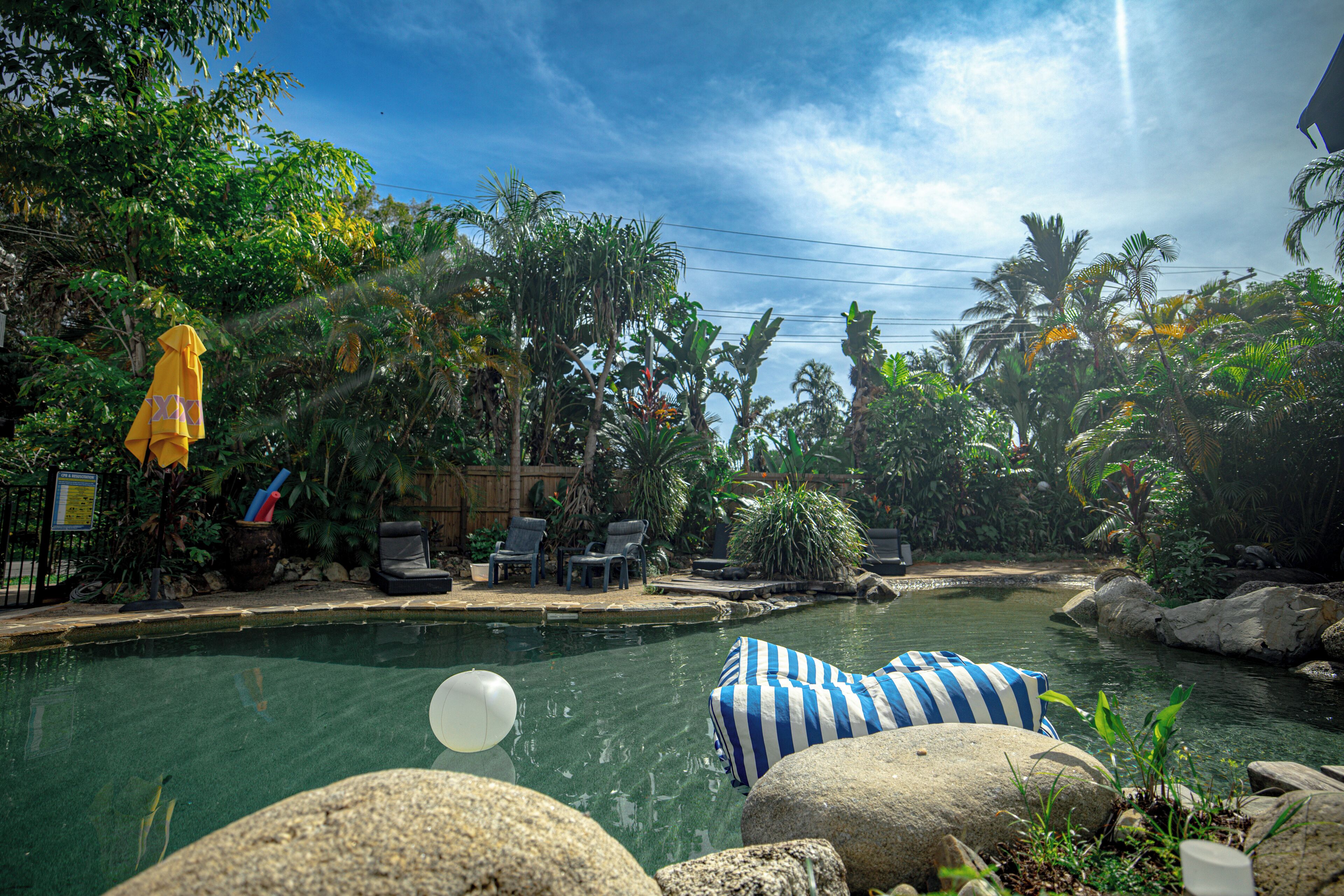 Outdoor pool, pool loungers
