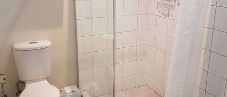 Un baño con ducha envuelta en vidrio, un inodoro y un estante con artículos de aseo.