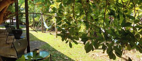 An outdoor patio area with tables and chairs, surrounded by lush greenery and trees.