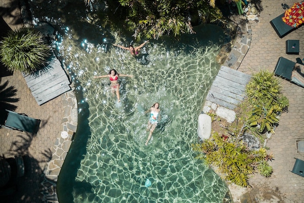 Outdoor pool, sun loungers