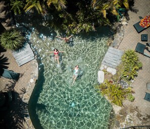 An aerial view of a clear pool surrounded by lounge chairs and a stone pathway. - Coral Beach Lodge (Port Douglas)
