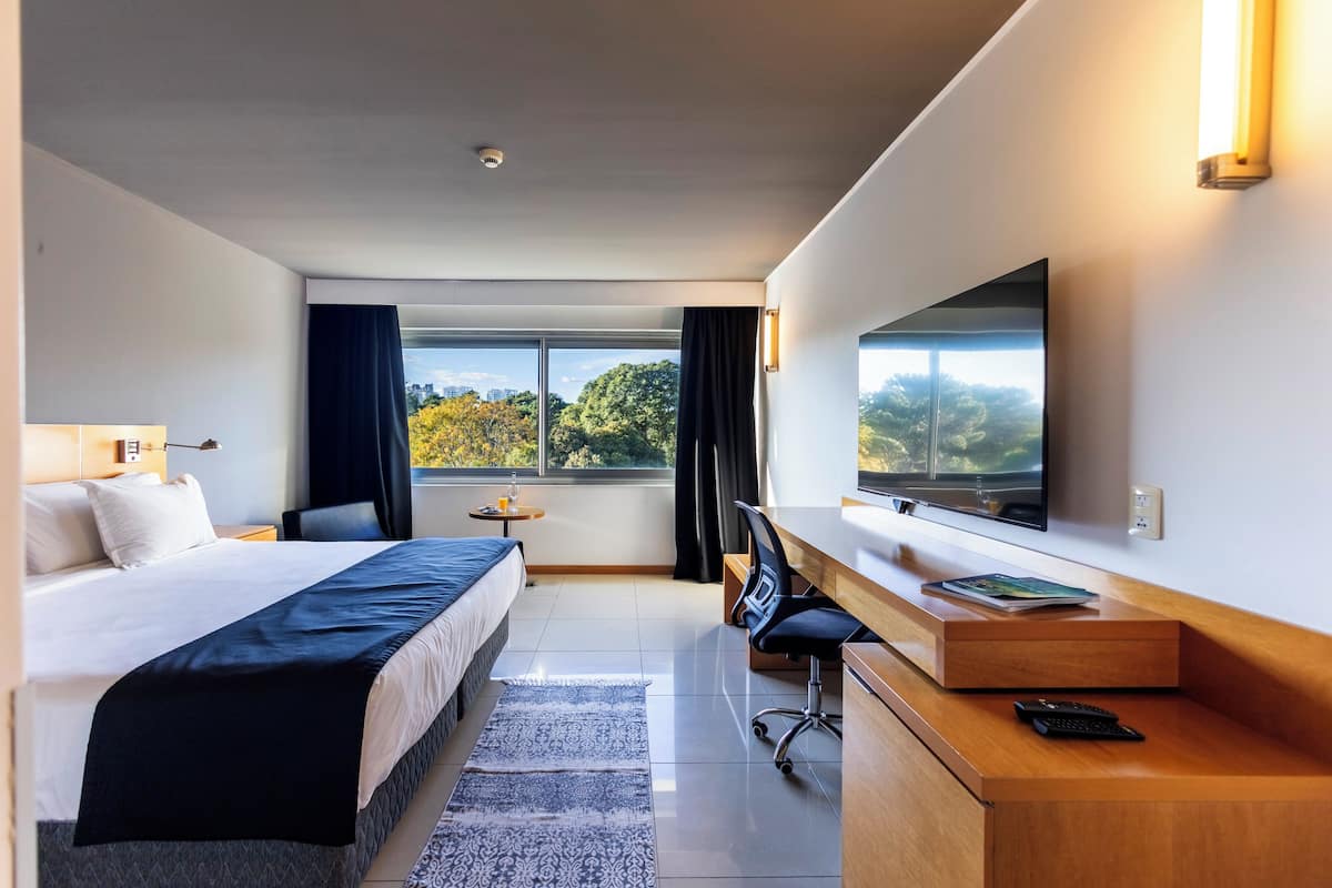 Une chambre d’hôtel équipée d’un lit, d’un bureau, d’une chaise, d’une télévision et offrant une vue sur les arbres par la fenêtre.
