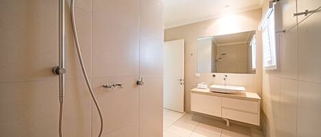 A modern bathroom with a shower, sink, and mirror.