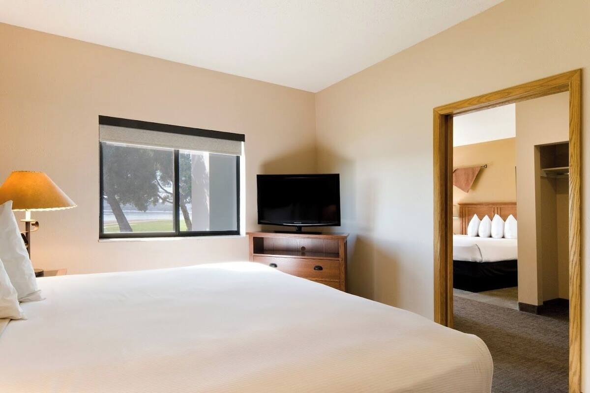 A hotel room with a large bed, a television on a wooden stand, a window with a view of trees, and a mirror reflecting a bed and a closet.