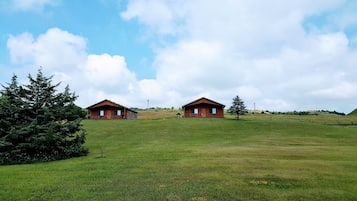 小屋 (River Ranch) | 1 間臥室、獨特裝潢、布置獨特、書桌