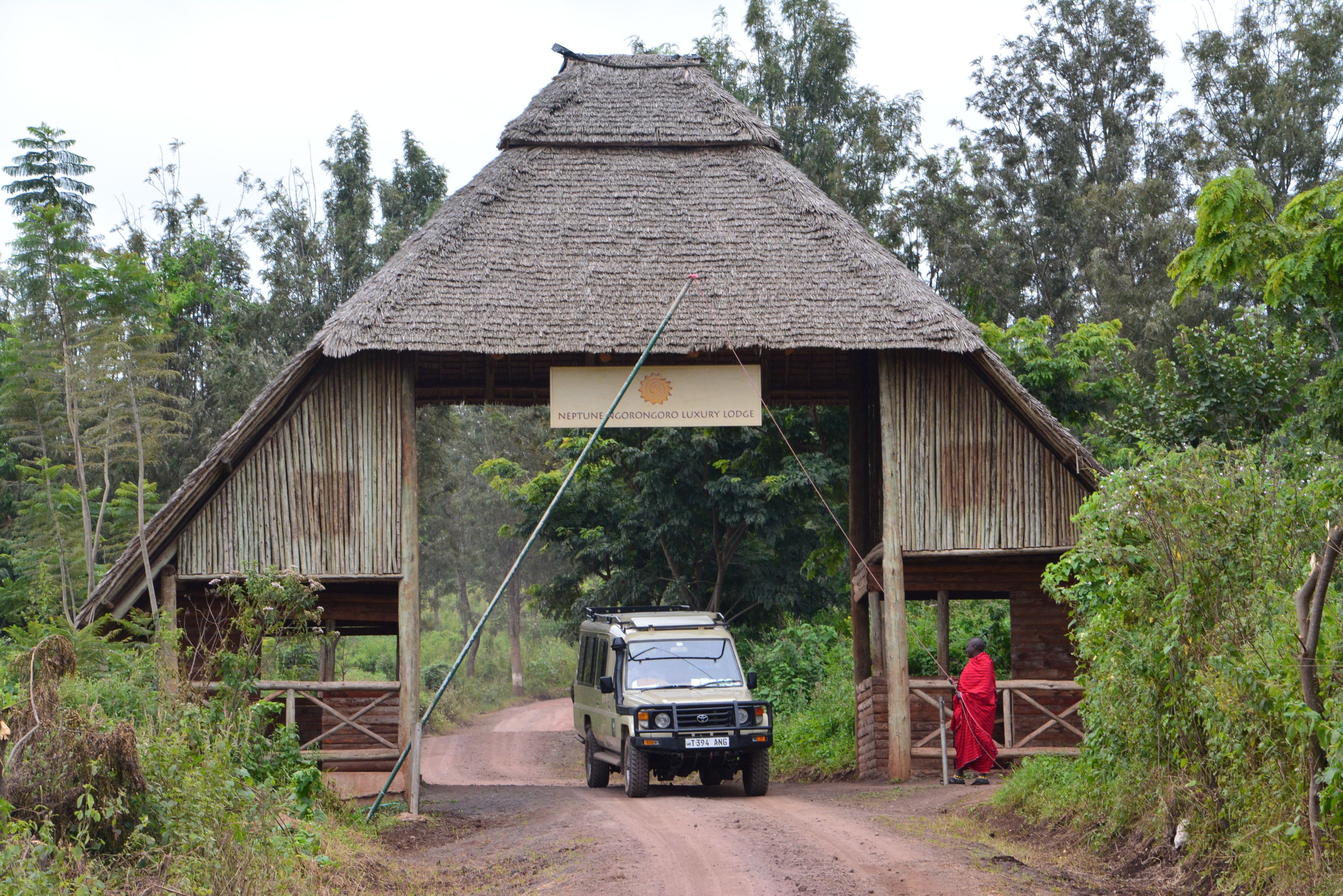 A rustic lodge with a thatched roof and wooden structure, a dirt road leading to it, and a person in red attire.