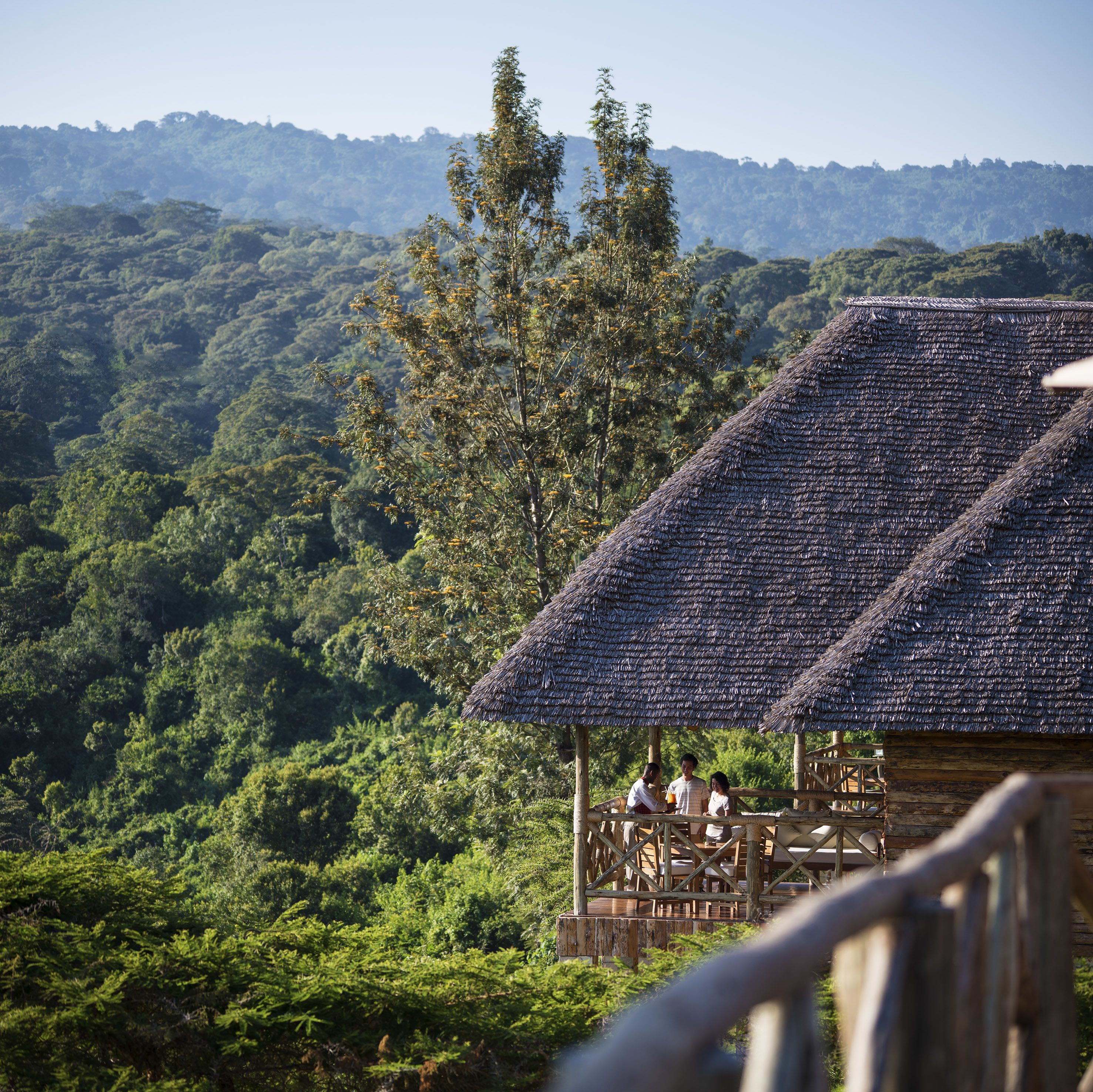 A wooden structure with a thatched roof overlooking a forested area.
