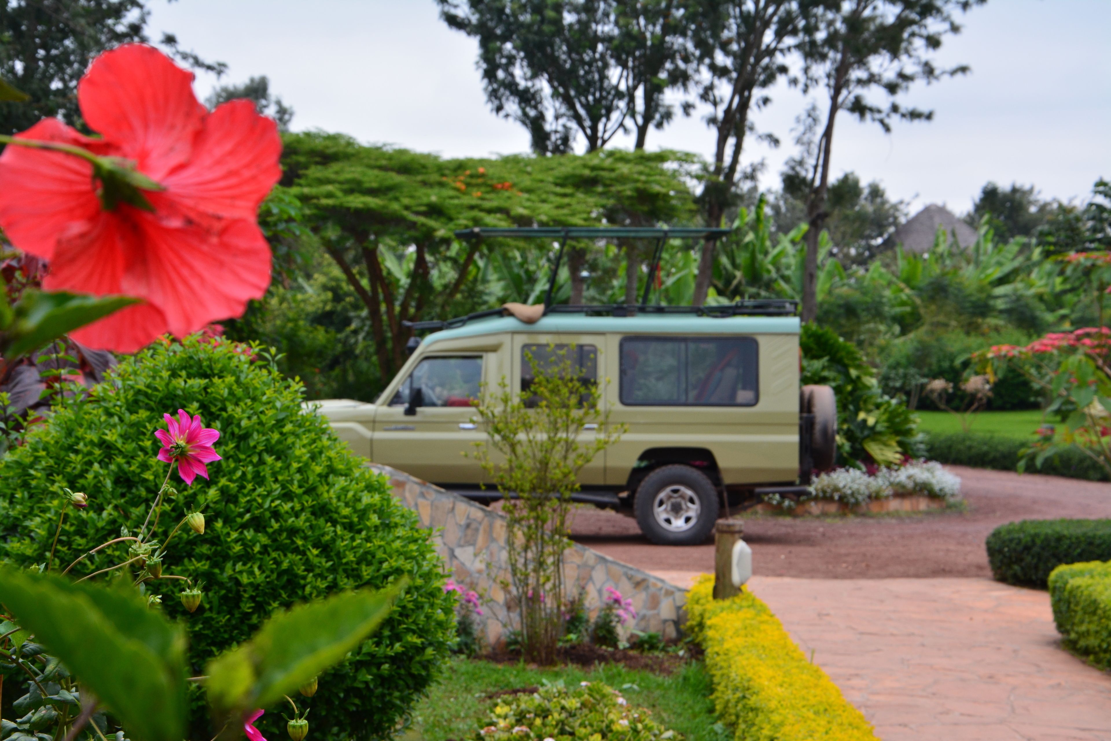 Un vehículo estacionado en un jardín con un sendero de piedra y abundante vegetación.