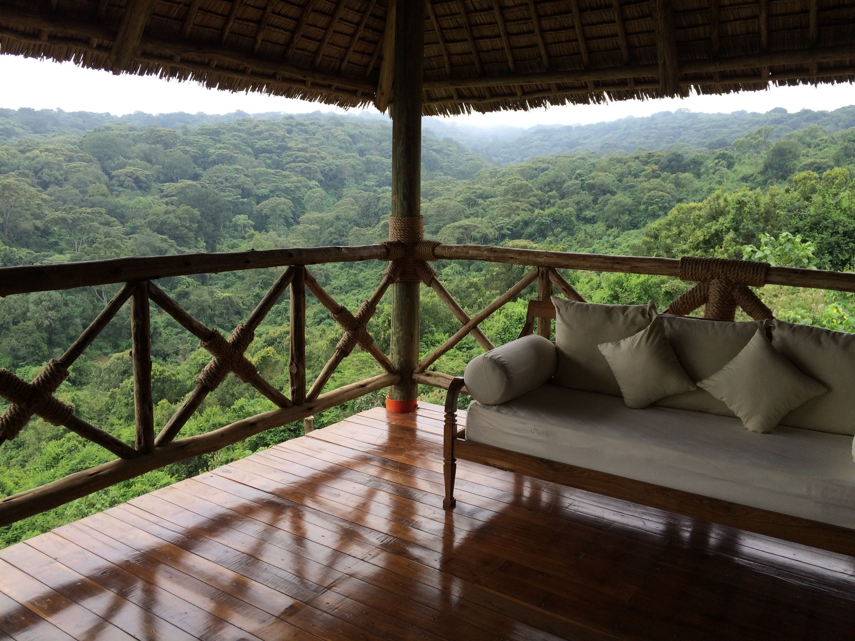 A wooden deck with a cushioned seating area overlooking a dense forest.