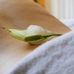 Phòng tắm hơi, bồn tắm thủy lực, phòng xông hơi, trị liệu toàn thân