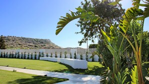 A well-maintained garden with a pathway, neatly trimmed grass, and a variety of tropical plants.