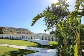 Outdoor wedding area