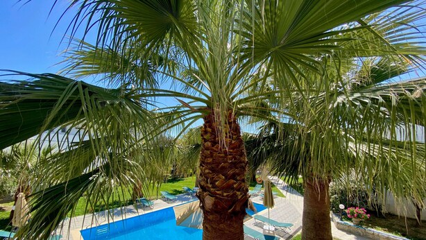 A pool area with palm trees, lounge chairs, and a clear blue pool. - Manolis Apartments (Agios Vasileios)