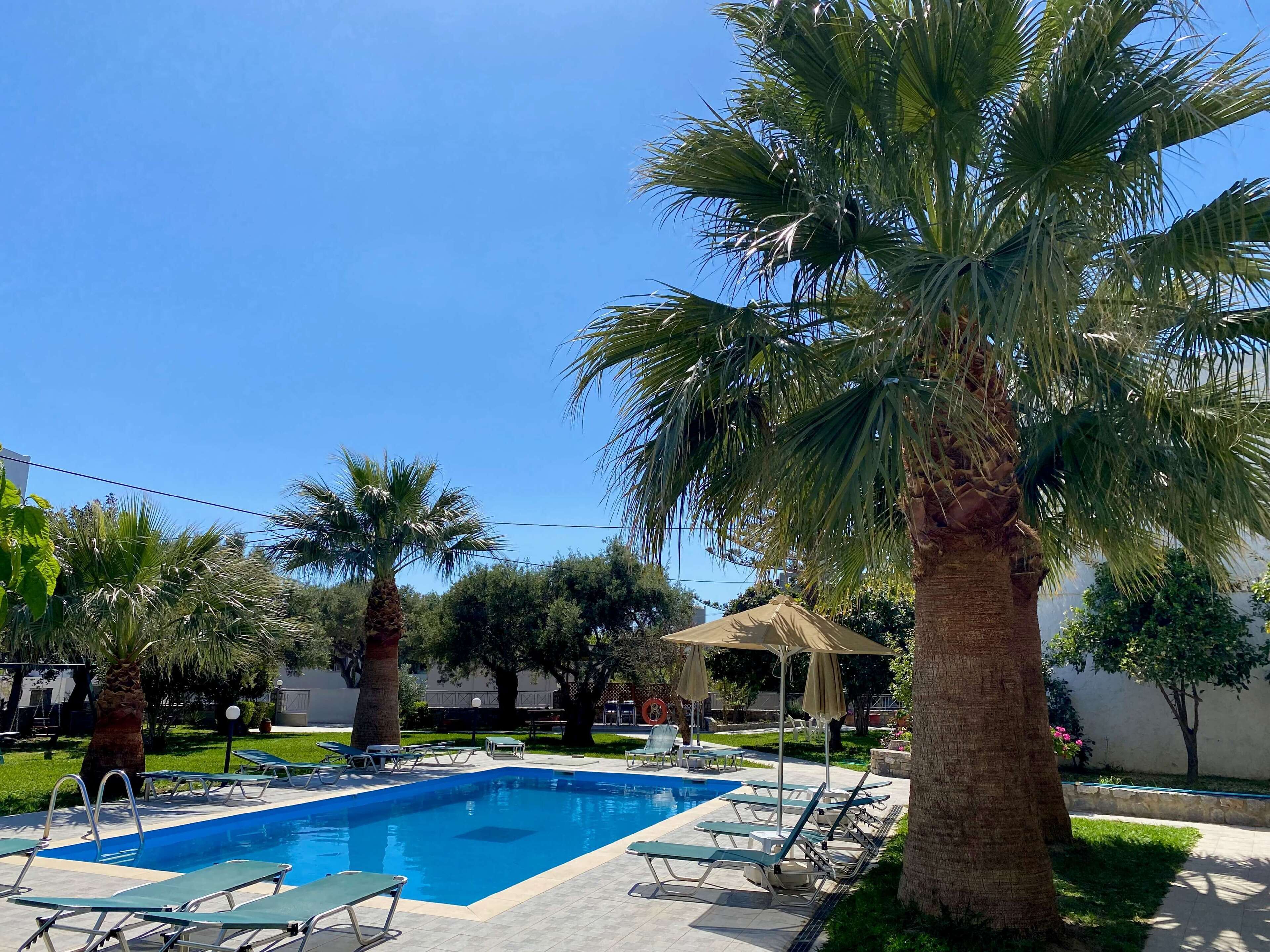 Una piscina con sillas de descanso y palmeras.