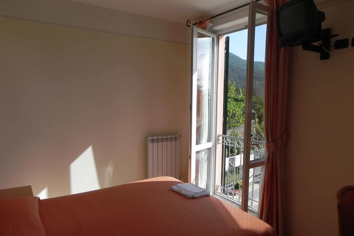 A room with a bed, a radiator, a television, and a window with a view of greenery.
