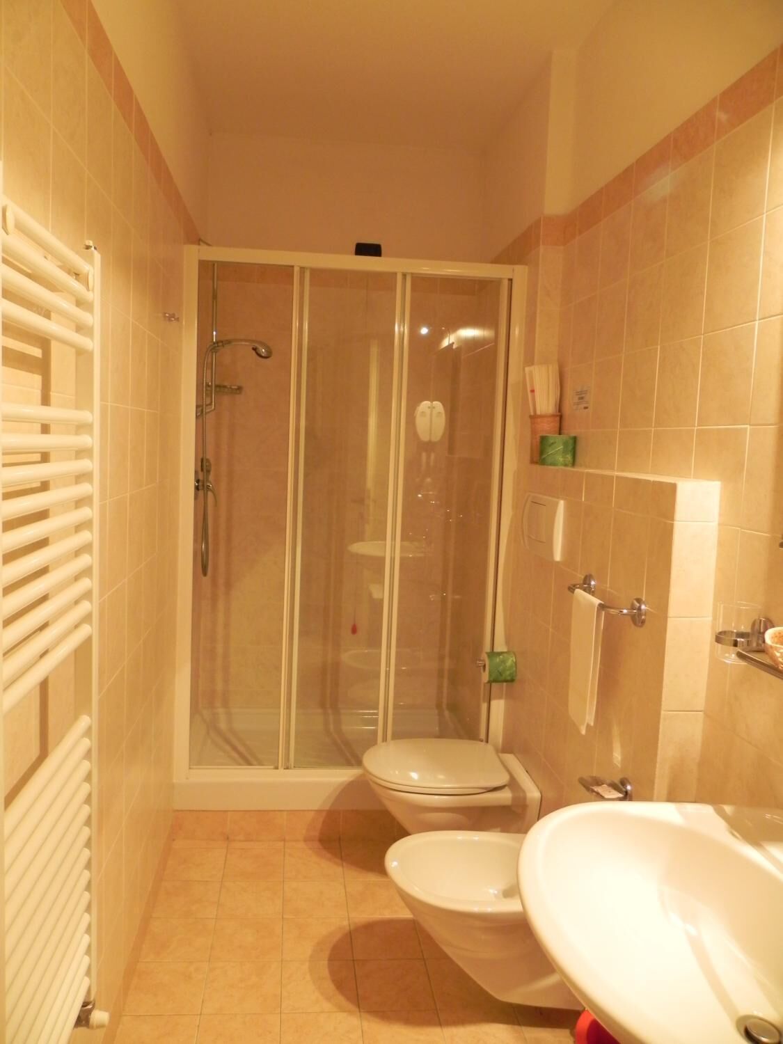 free toiletries, hair dryer, bidet, towels