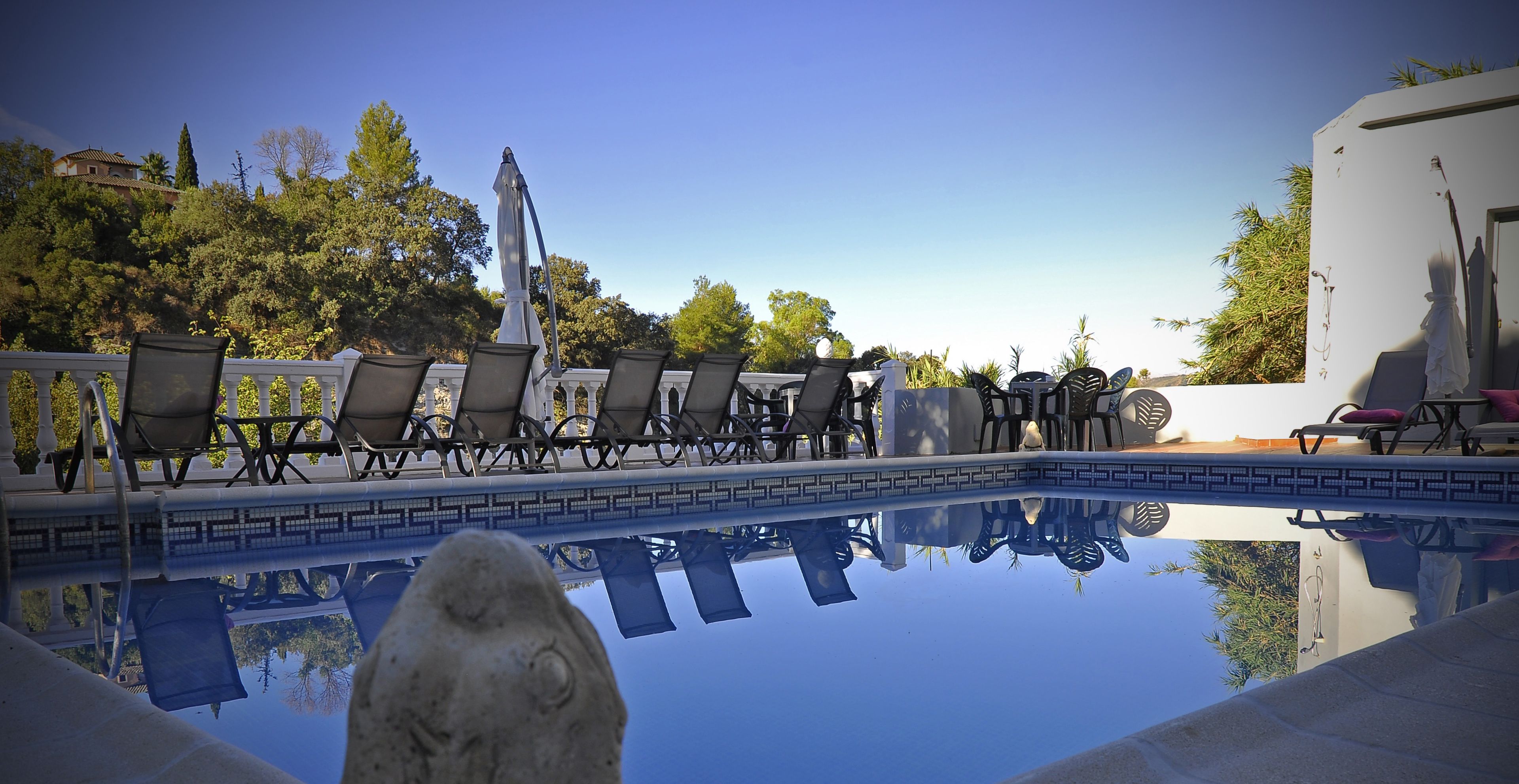 Alberca al aire libre, sombrillas en la alberca y camastros 