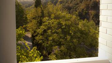 Vista des de l'allotjament