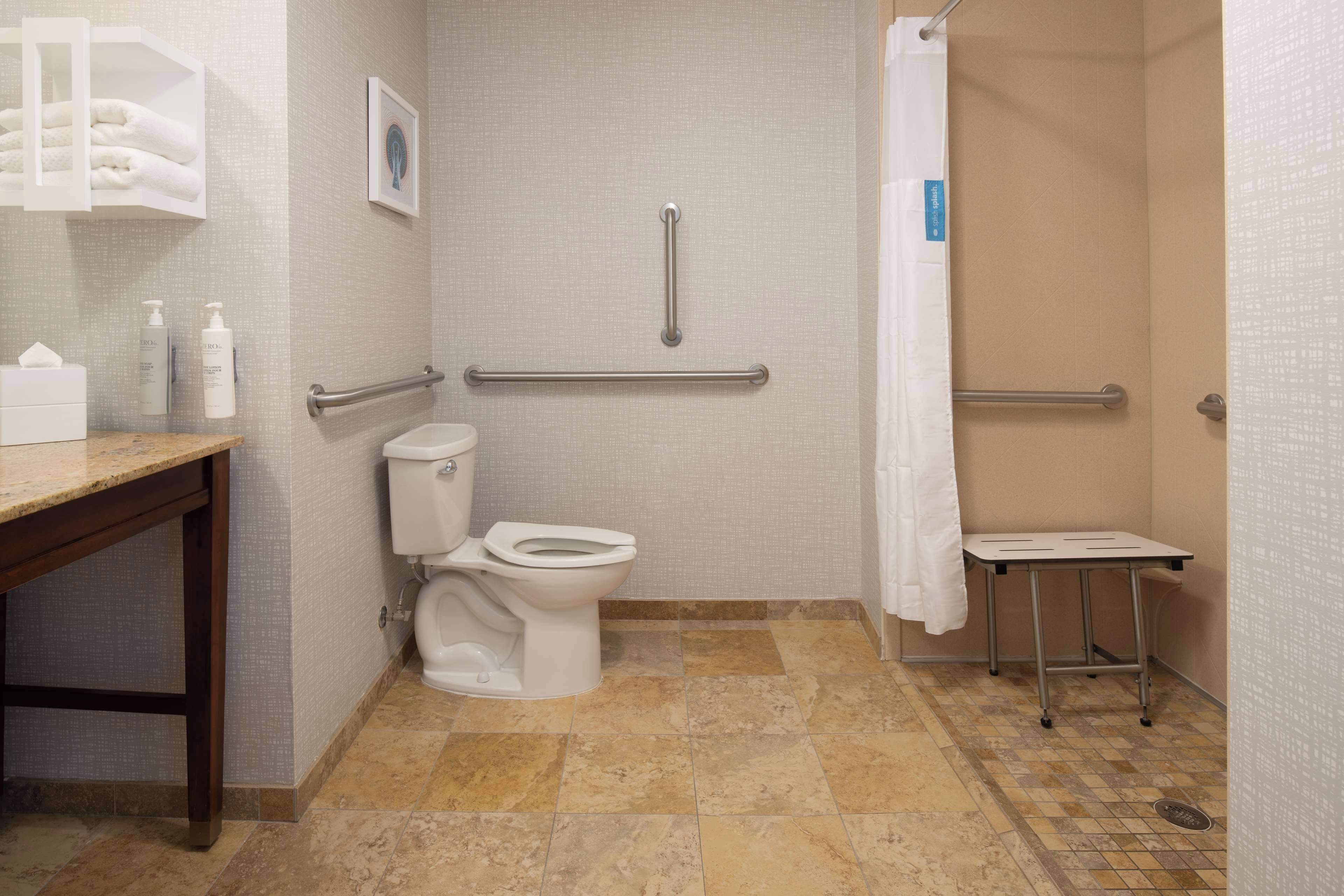 room, 1 king bed, accessible, non smoking | bathroom shower