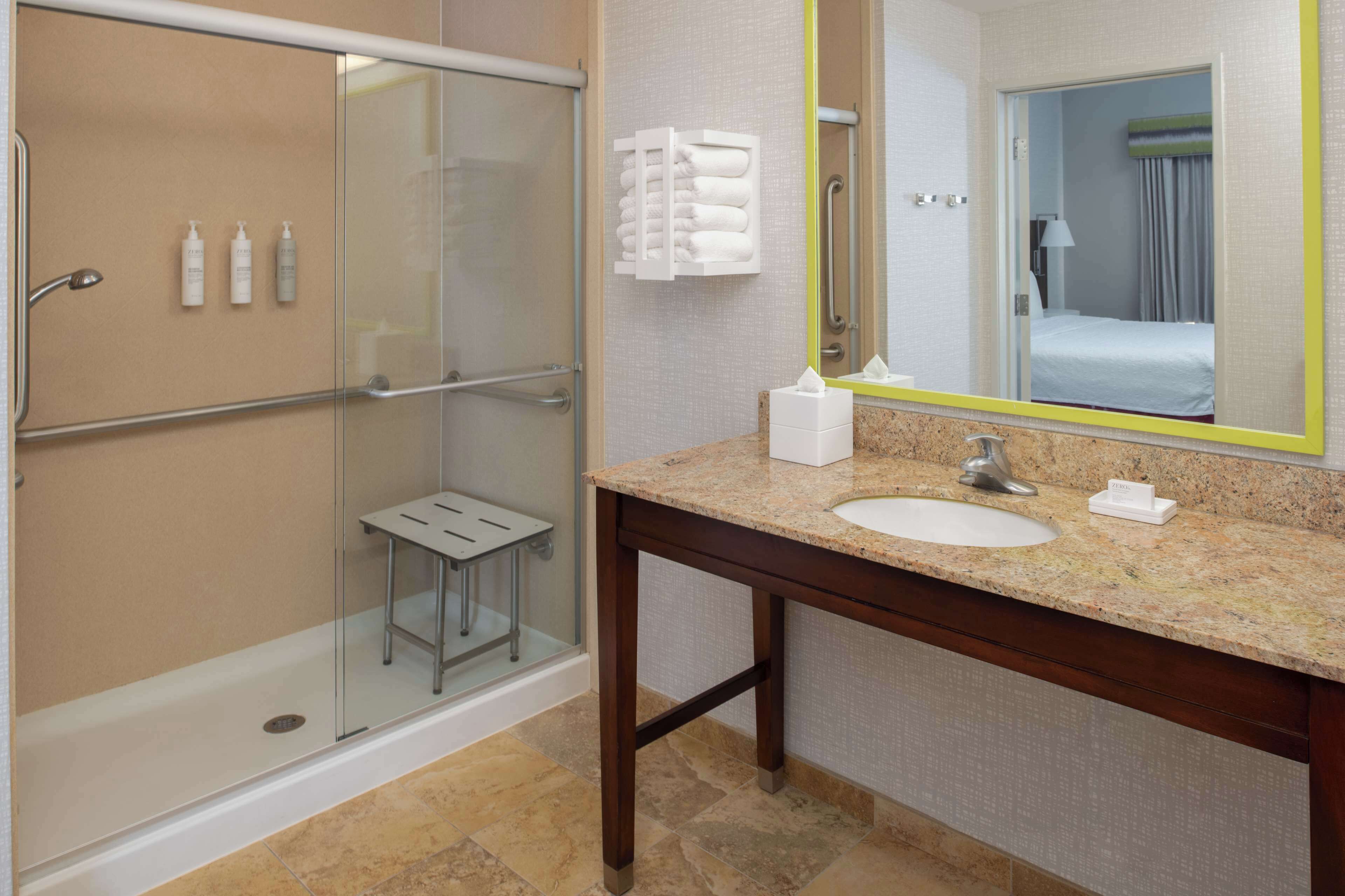 room, 1 king bed, accessible, non smoking | bathroom shower