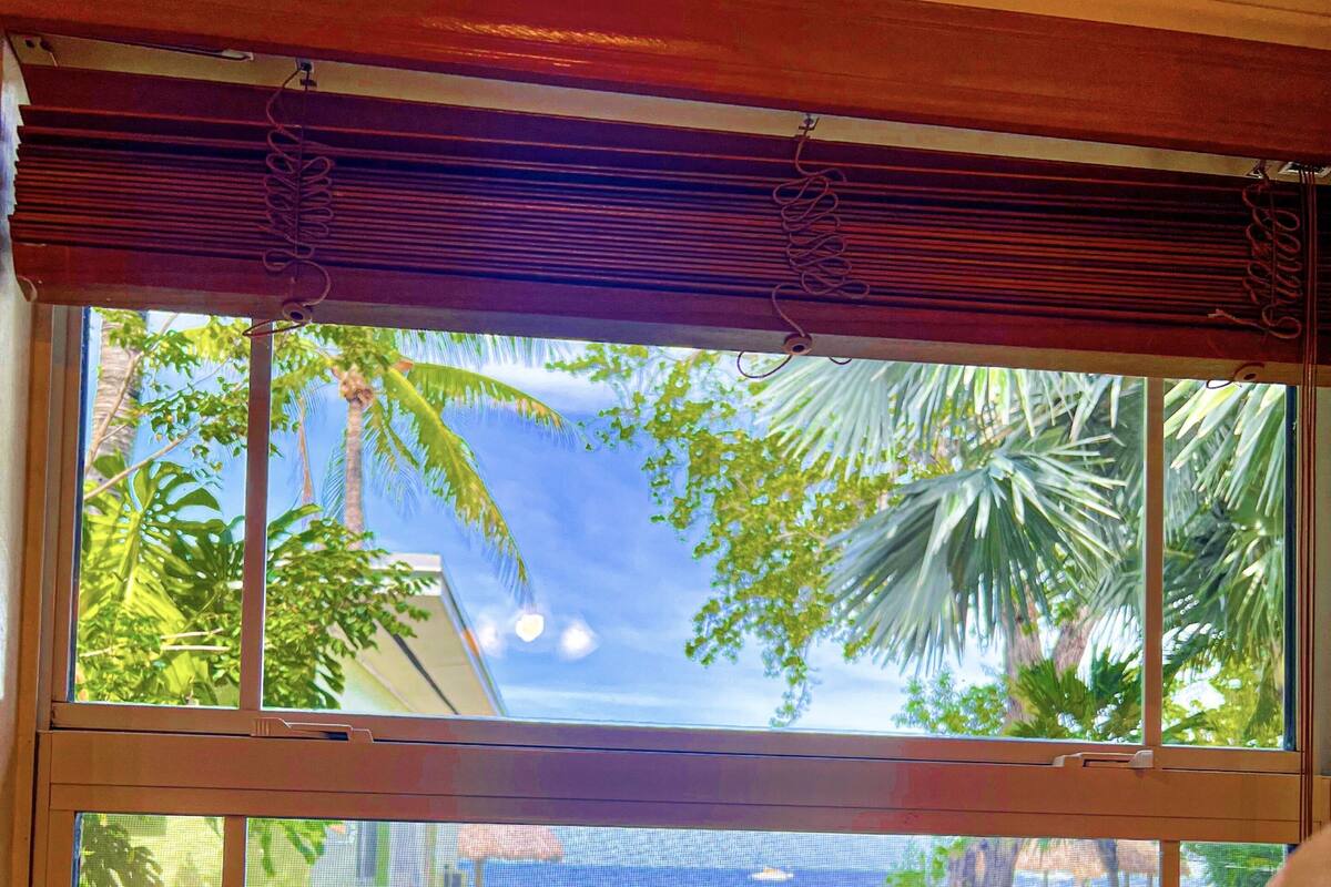 A window with a view of a garden, a patio with a table and chairs, and a building in the background.