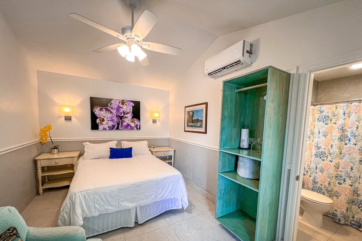 A hotel room with a bed, a nightstand, a wall-mounted air conditioner, a ceiling fan, a bathroom with a shower curtain, and a green shelving unit.